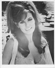 Raquel Welch smiling with huge cleavage 1960's era 8x10 inch photo