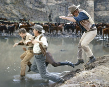 The Sons of Katie Elder John Wayne with cattle in scene by waterhole 8x10 photo