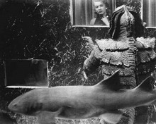 Revenge of the Creature 1955 Gill-man in aquarium Lori Nelson looks 8x10 photo