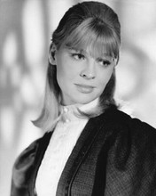 Julie Christie beautiful portrait 1965 Doctor Zhivago 8x10 inch photo