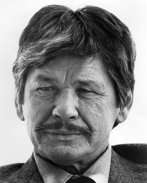 Charles Bronson as Paul Kersey portrait 1974 Death Wish 8x10 inch photo ...