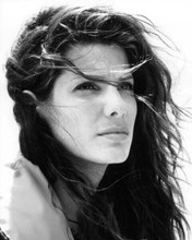 Sandra Bullock beautiful young portrait with windswept hair 8x10 inch photo