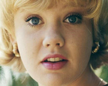 Hayley Mills close-up portrait circa 1965 looking into camera 8x10 inch photo