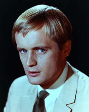 David McCallum The Man From UNCLE studio portrait as Ilya 8x10 inch photo