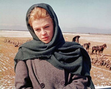 Julie Christie as Lara in rural setting 1965 Doctor Zhivago 8x10 inch photo