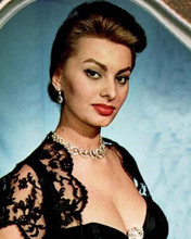 Sophia Loren looking voluptious with huge cleavage 1950's portrait 8x10 photo