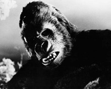 King Kong 1933 iconic snarling portrait of Kong 8x10 inch photo