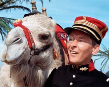 Kenneth Williams with classic expression 1967 Follow That Camel 8x10 photo