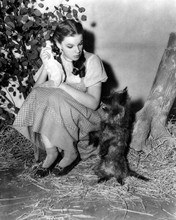 The Wizard of Oz Judy Garland between takes with little dog Toto 8x10 inch photo