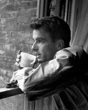 Montgomery Clift holding cup of coffee looking out of window 8x10 photo