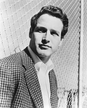 Paul Newman in checkered sports jacket 1950's posing by metal fence 8x10 photo