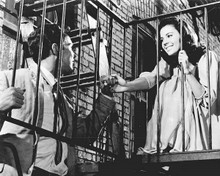 West Side Story Richard Beymer Natalie Wood hold hands on staircase 8x10 photo