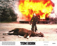 Tom Horn 1980 original 8x10 lobby card Steve McQueen looks at horse on ground