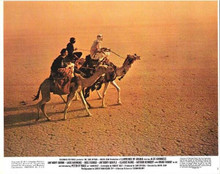 Lawrence of Arabia 1971 original 8x10 lobby card O'Toole & Sharif cross desert