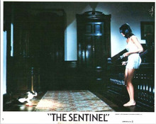 The Sentinel 1977 original 8x10 lobby card Christina Raines looks at cat