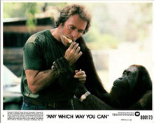 Any Which Way You Can 1980 original 8x10 lobby card Clint Eastwood & Clyde
