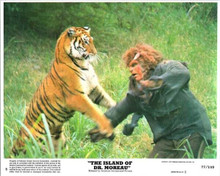 Island of Dr Moreau 1977 original 8x10 lobby card Bob Ozman with tiger