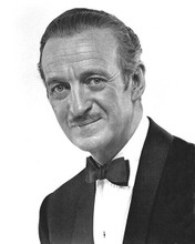 David Niven classic debonair portrait in tuxedo Bedtime Story 8x10 inch photo