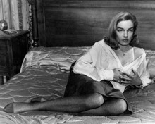 Simone Signoret lies on bed in sheer blouse 1953 Therese Raquin 8x10 inch photo