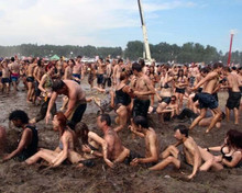 Woodstock 1969 festival goers revel in the mud at Max Yasgur's farm 8x10 photo
