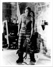 Paul Robeson full length pose bare chested in leg irons 8x10 inch photo
