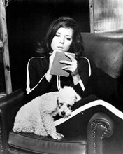 Diana Rigg sits on chair with poodle dog the Avengers TV series 8x10 inch photo