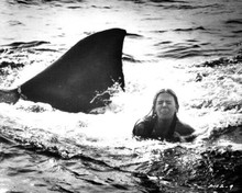 Jaws 2 1978 Cindy Grover as Lucy gets a shark surprise 8x10 inch photo