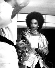 Cleopatra Jones 1973 Tamara Dobson in action kung fu style 8x10 inch photo