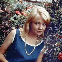 HAYLEY MILLS FINE QUALITY 12X12 PREMIUM PRINT 603410