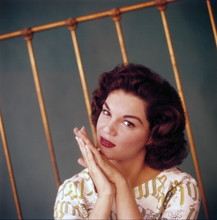 CONNIE FRANCIS FINE QUALITY 12X12 PREMIUM PRINT 603553