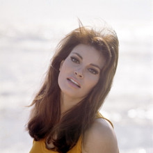 RAQUEL WELCH FINE QUALITY 12X12 PREMIUM PRINT 603561