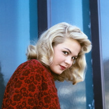 SANDRA DEE FINE QUALITY 12X12 PREMIUM PRINT 603535