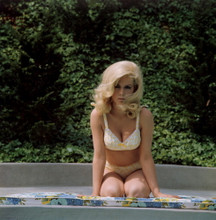 STELLA STEVENS FINE QUALITY 12X12 PREMIUM PRINT 603505