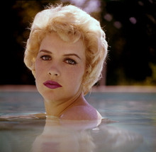 STELLA STEVENS FINE QUALITY 12X12 PREMIUM PRINT 603491