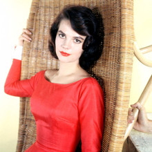 NATALIE WOOD FINE QUALITY 12X12 PREMIUM PRINT 603437