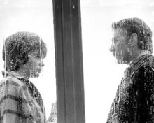 Day For Night Jacqueline Bissett Jean-Pierre Aumont rain window 8x10 photo