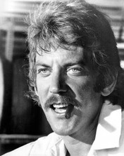 Donald Sutherland smiles as he smokes cigar 1973 Lady Ice 8x10 inch photo