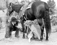 Fancy Pants 1950 Lucille Ball hides under horse by Bob Hope 8x10 inch photo