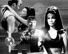 Star Trek Mirror Mirror Barbara Luna William Shatner Leonard Nimoy 8x10 photo