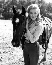 Linda Evans holding her horse as Audra Barkley The Big Valley 8x10 inch photo