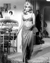 Suzy Kendall 1960's pin-up in bra top and skirt 8x10 inch photo