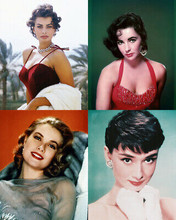 Sophia Loren Elizabeth Taylor Grace Kelly Audrey Hepburn 4 icons 11x14 Poster