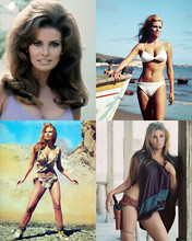 Raquel Welch mini poster collage 4 great Raquel images on 11x14 inch photograph
