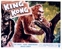 King Kong Fay Wray in tree 8x10 inch photo