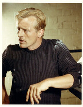 Rutger Hauer 1970's from unidentified movie in sweater 8x10 inch photo