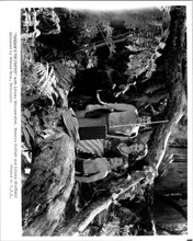 Tarzan's Triumph's original 8x10 photo 1960's re-release Johnny Weissmuller