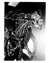 Aliens the terrifying alien creature reveals itself jaws open 8x10 inch photo