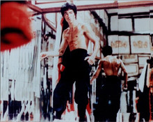 Bruce Lee Enter The Dragon full body shot by wall of mirrors 8x10 inch photo
