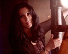 Cher portrait as Tess Scali from 2010 movie Burlesque 8x10 inch photo