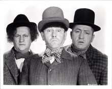 The Three Stooges classic studio portrait 8x10 inch photo